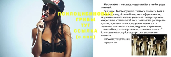 дмт Лихославль